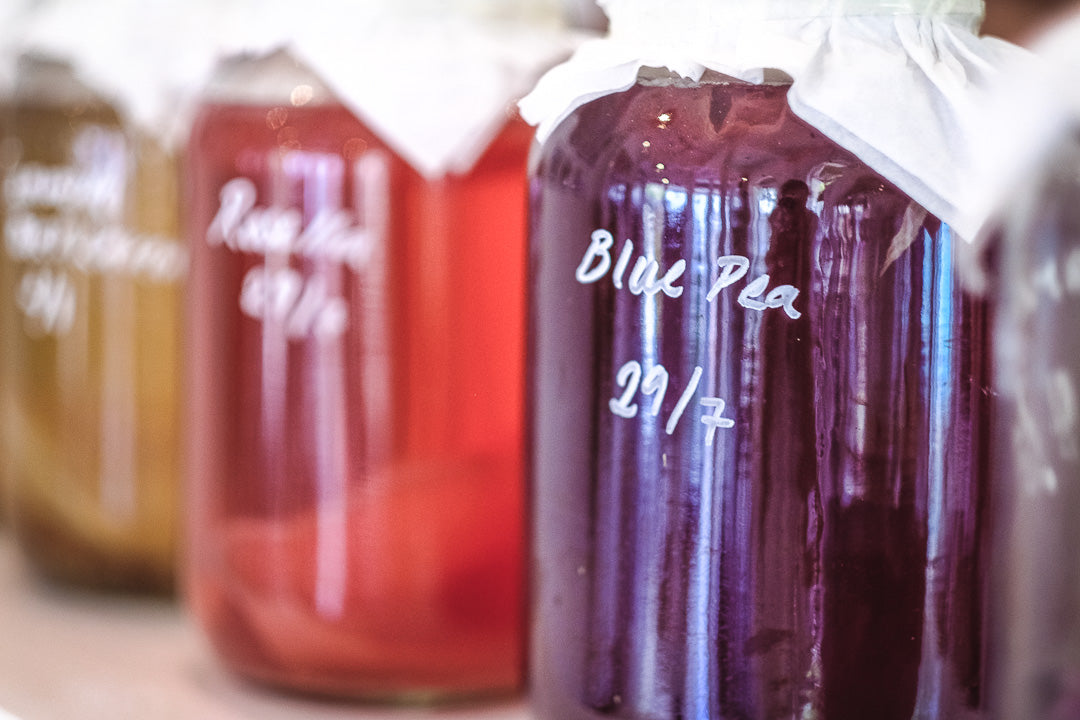 Natures Elixir Kombucha