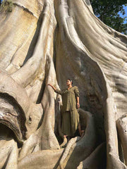 Person standing inside a large tree with intricate root system