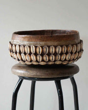 Basket Shell