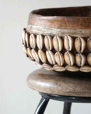 Basket Shell