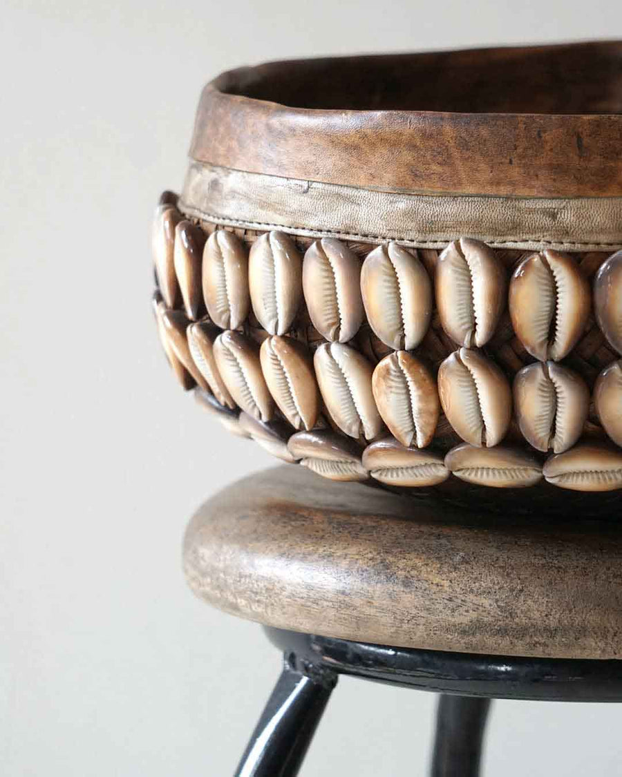 Basket Shell