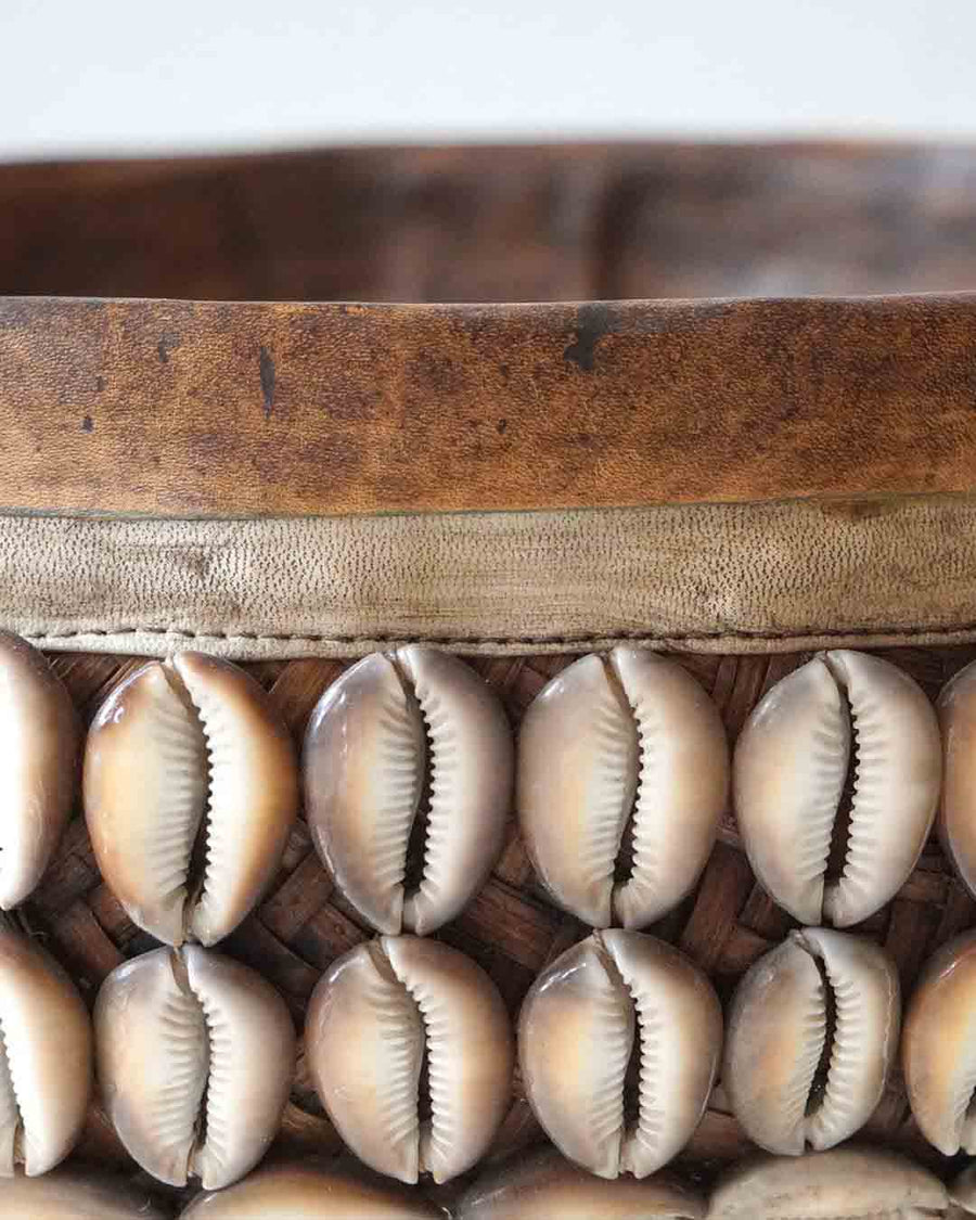 Basket Shell