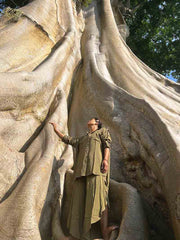 Person standing next to a large tree with a unique trunk shape