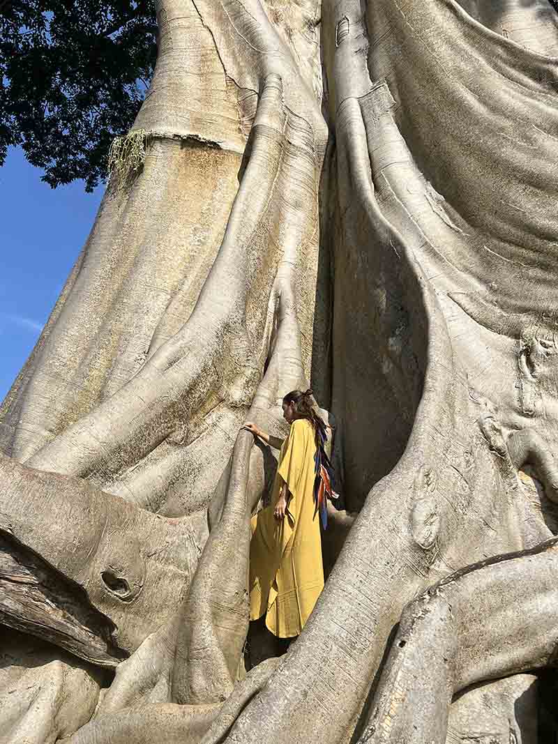 Person in a yellow dress standing next to a large tree with intricate bark patterns