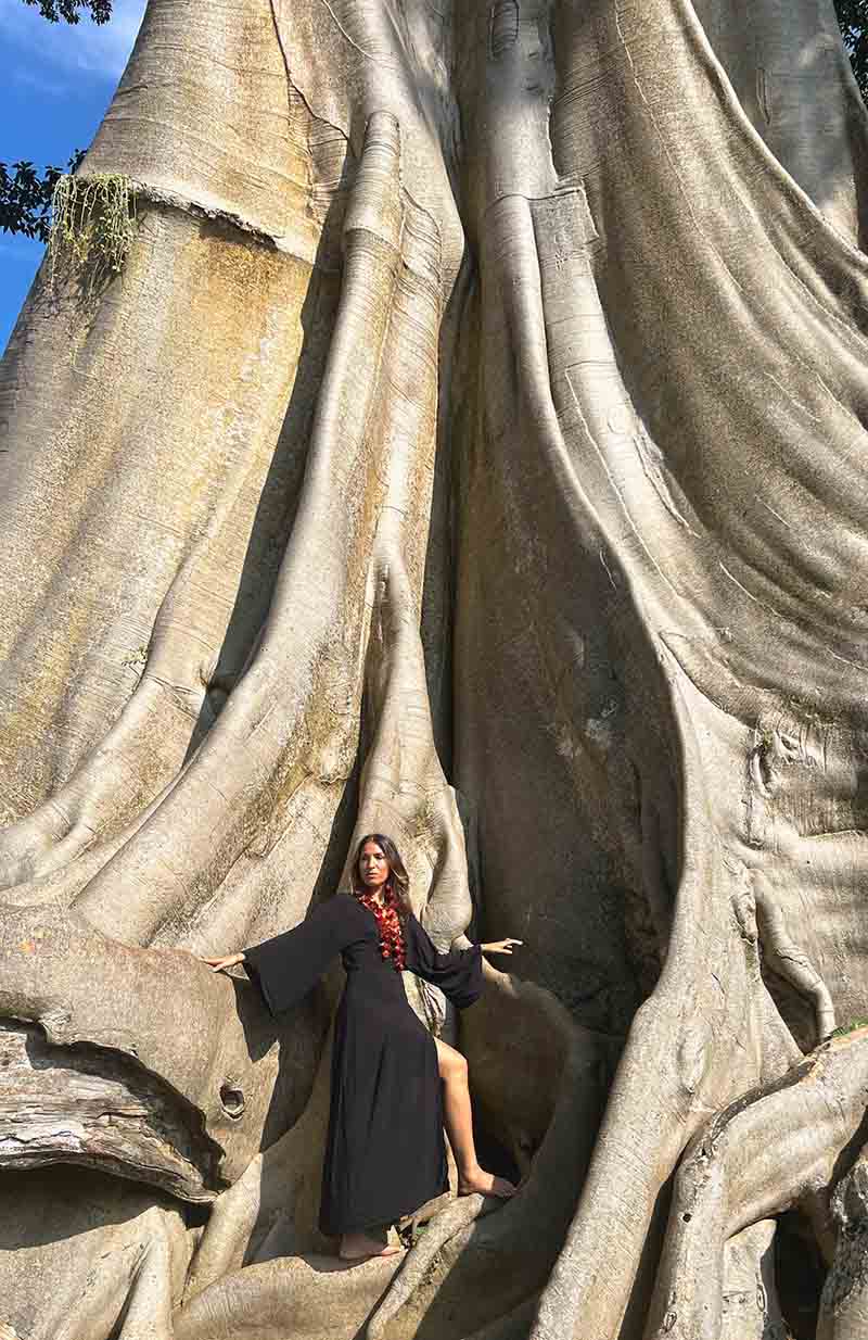 Person posing inside a large tree with a blue sky background