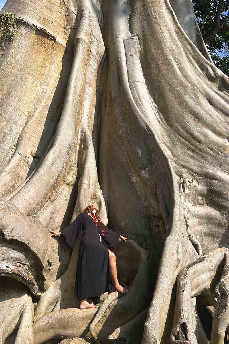 Person in a black dress standing among large tree roots