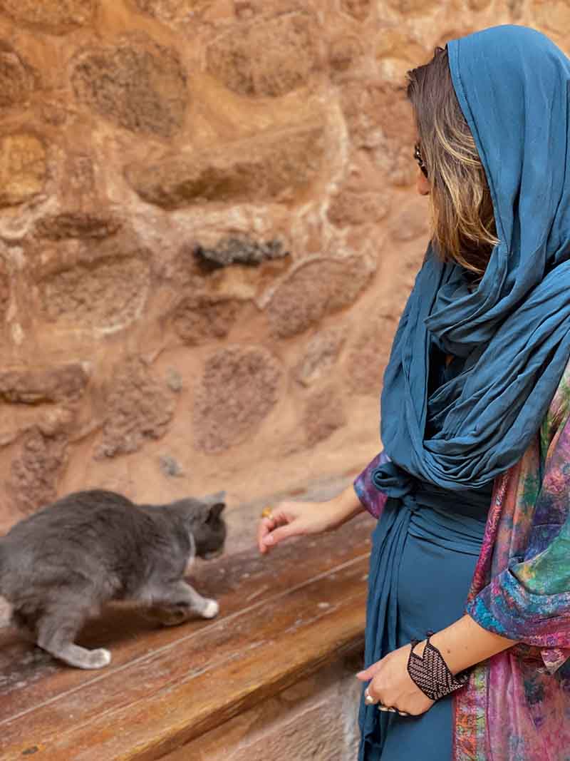 Woman in a blue headscarf and dress interacting with a gray cat on wooden steps.